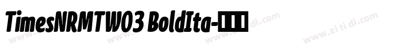 TimesNRMTW03 BoldIta字体转换